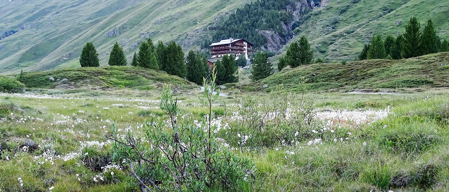 Geierwallihof Vent Tirol Aussicht Ötztal